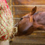 Siatkowy paśnik na siano dla koni