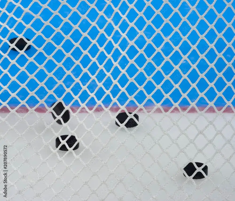 siatka polietylenowa do lodowisko do hokeja